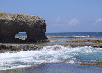 Скалистое побережье Little Bay на севере Барбадос – фотографии Барбадоса