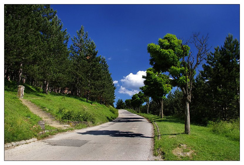 Дорога в Беране, Черногория. Фото 3 – фотографии Черногории