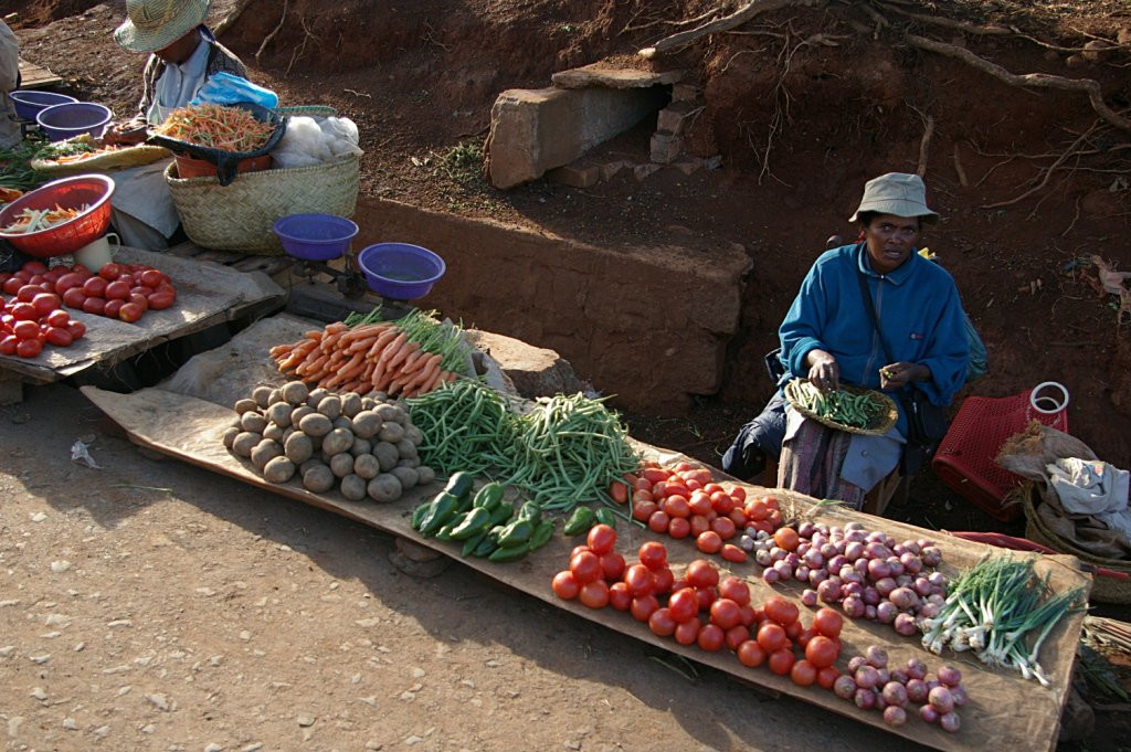 Мадагаскар, фото № 2187 – фотографии Мадагаскара