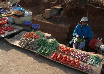 Мадагаскар, фото № 2187 – фотографии Мадагаскара
