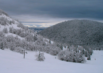 Соришка Планина, Словения, фото № 57560 – фотографии Словении