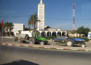 Эссувейра, Марокко, фото № 8843 – фотографии Марокко