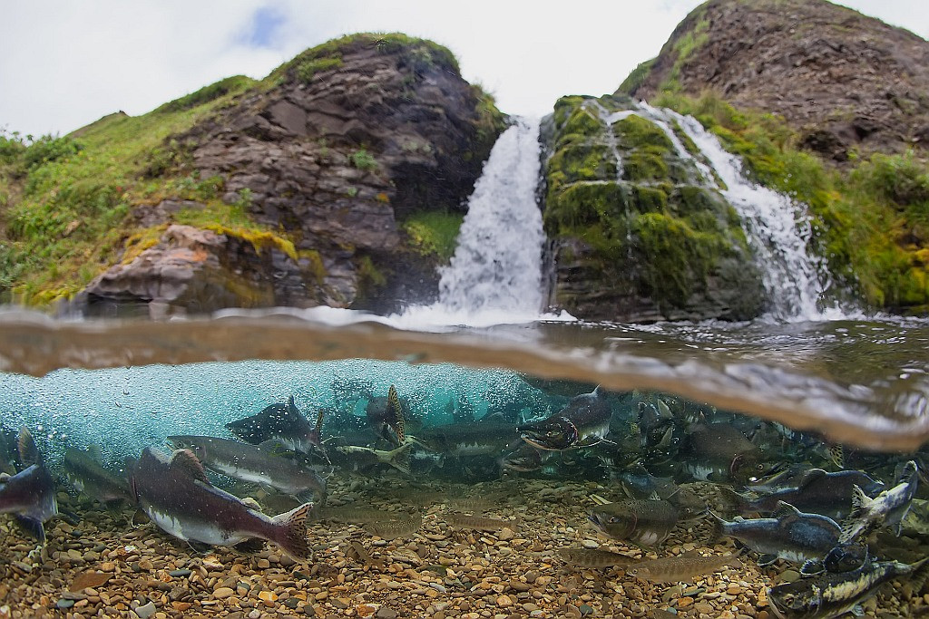 Заповедник – фотографии России