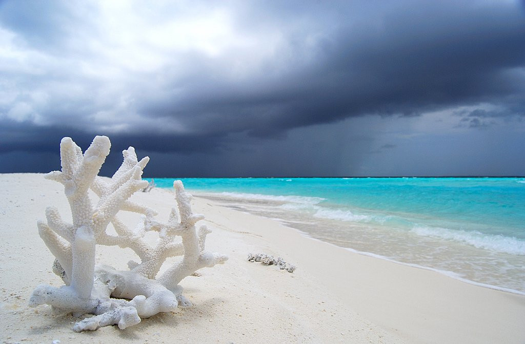 Пляж в Раа Атолл, Мальдивы. Фото 1 – фотографии Мальдивских островов