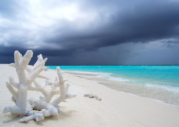 Пляж в Раа Атолл, Мальдивы. Фото 1 – фотографии Мальдивских островов