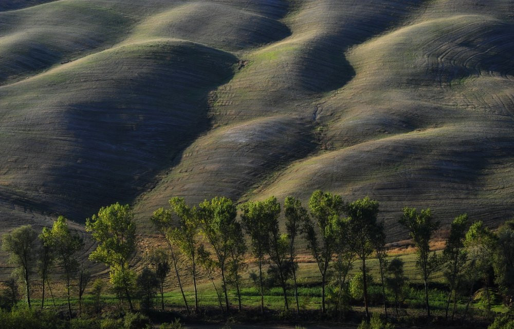 Тоскана, Италия, фото № 77935 – фотографии Италии