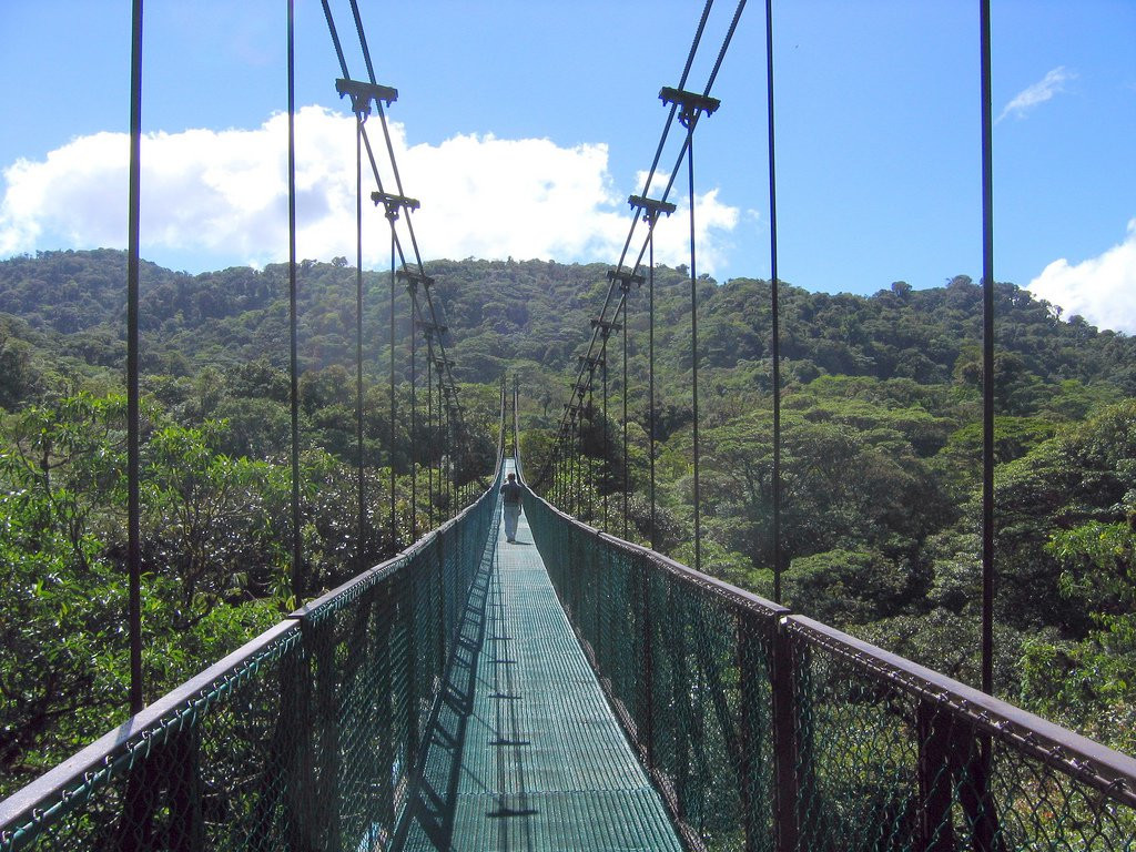 Монтеверде, Пунтаренас провинция, Коста-Рика, фото № 40734 – фотографии Коста-Рики