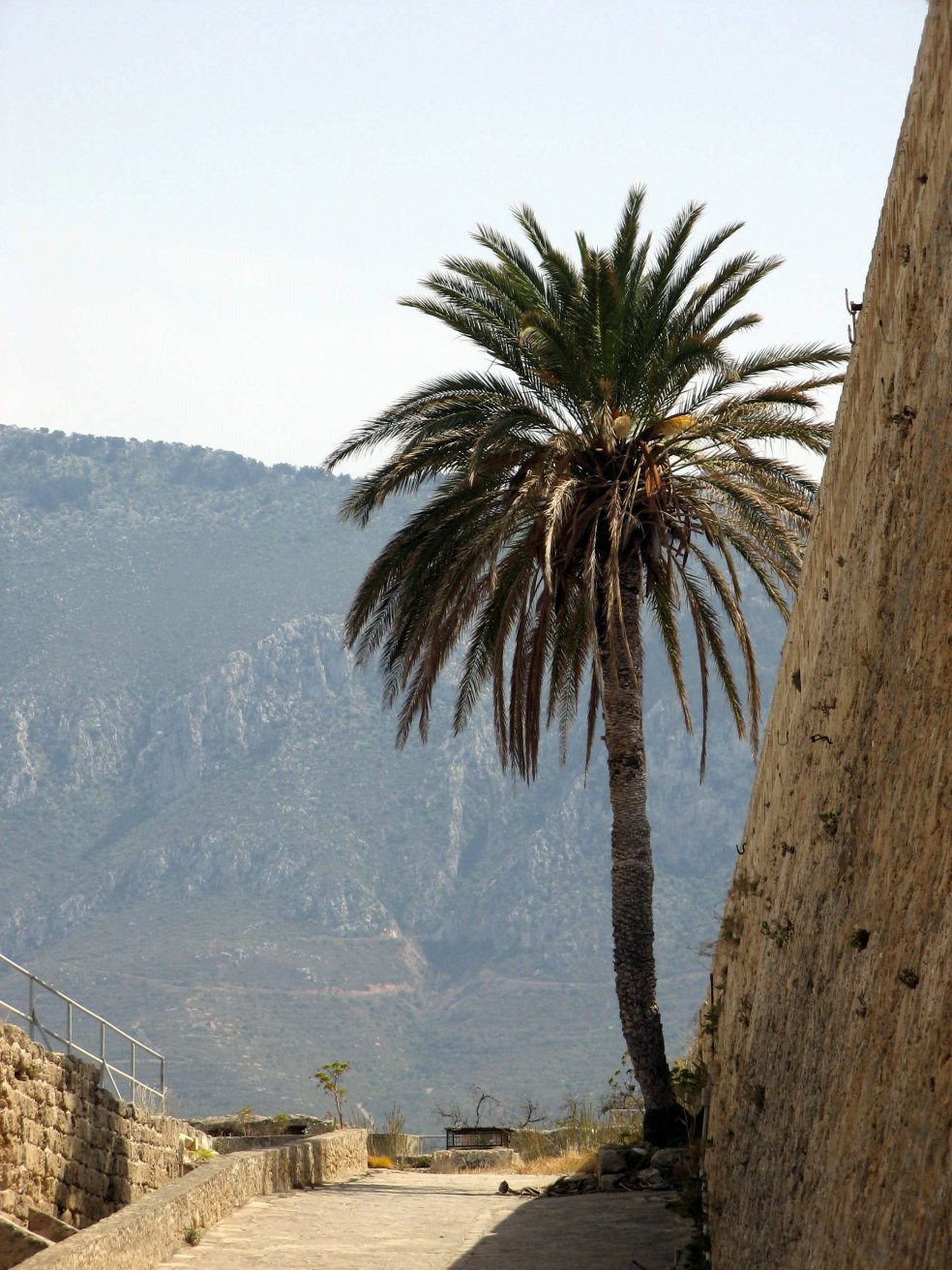 Кирения, Северный Кипр, Кипр, фото № 37757 – фотографии Кипра