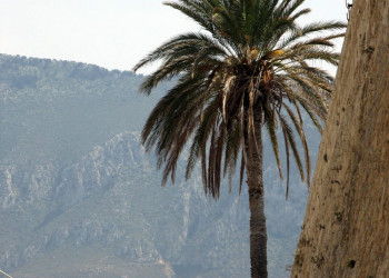 Кирения, Северный Кипр, Кипр, фото № 37757 – фотографии Кипра