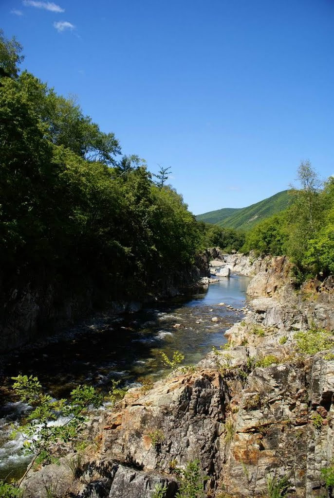 Река в Лазовском заповеднике, Россия – фотографии России