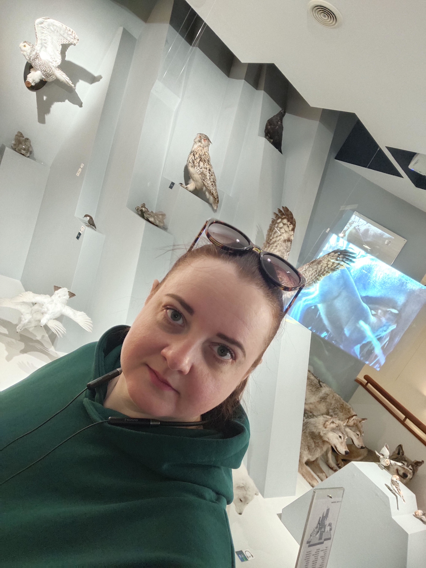 Я – фотографии