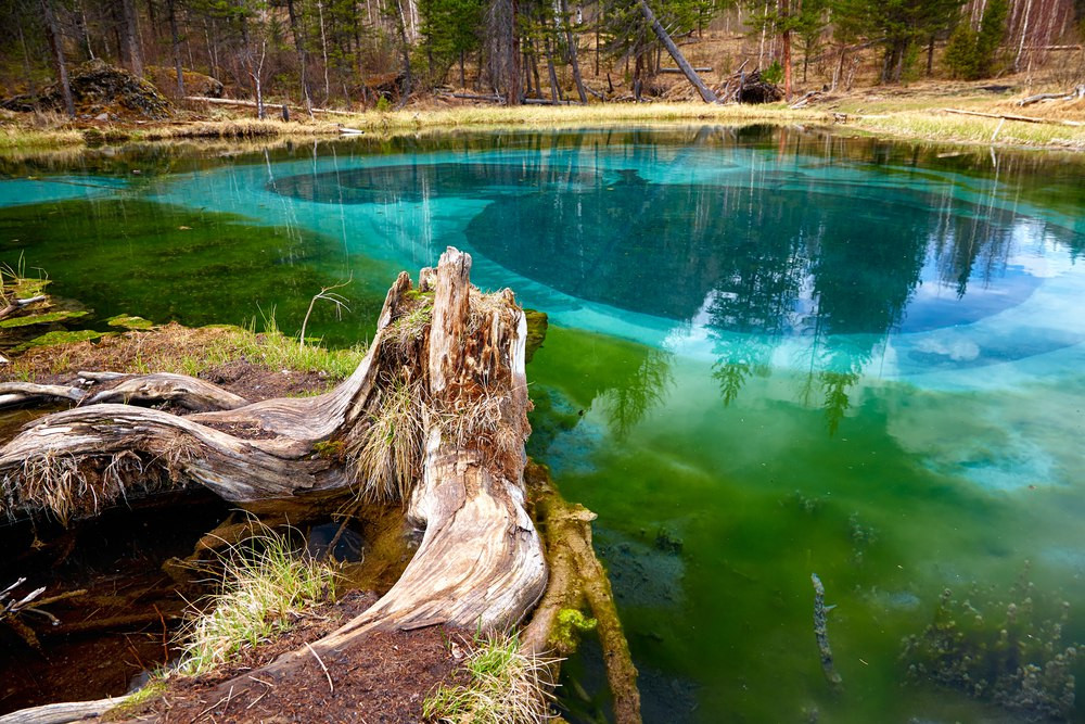 306805 – фотографии России