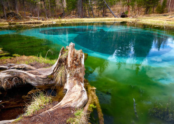 306805 – фотографии России