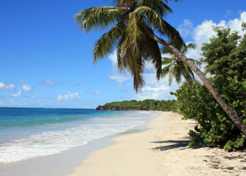 Пляж Лес-Салинес (Мартиника) – фотографии Мартиники