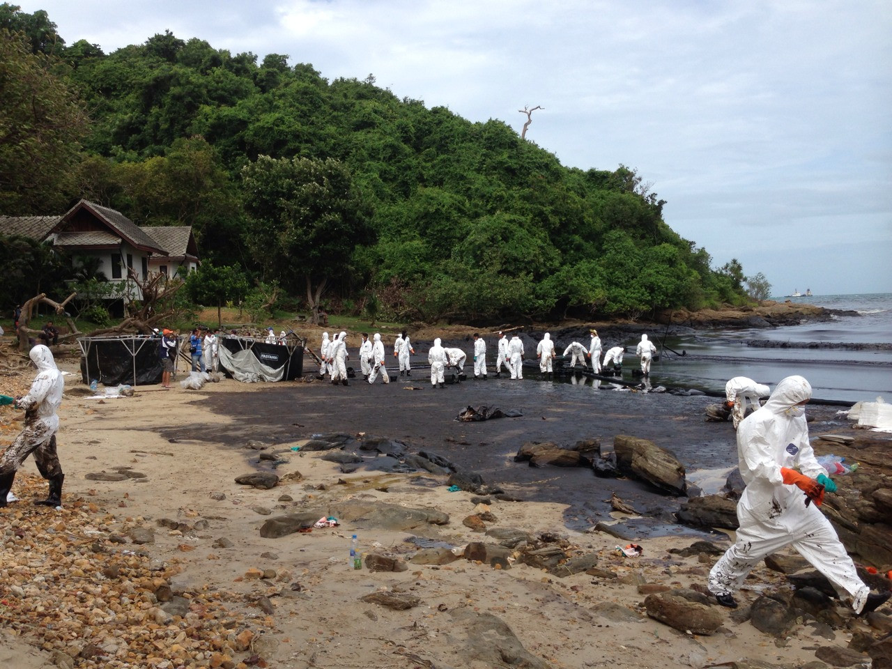 Разлив нефти в заливе Prao Bay. Июль 2013. Фото 3 – фотографии Таиланда