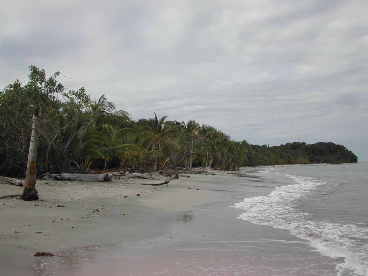 Кауита Национальный Парк, Лимон провинция, Коста-Рика, фото № 40072 – фотографии Коста-Рики