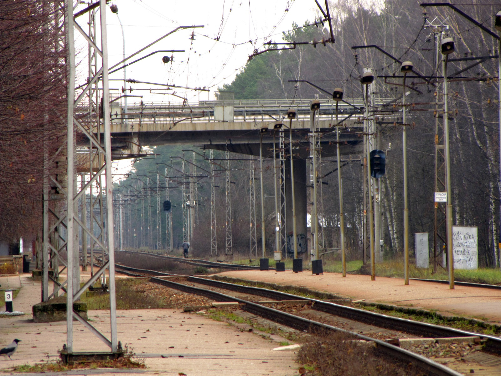 Ж/д дорога в Юрмале – фотографии Латвии