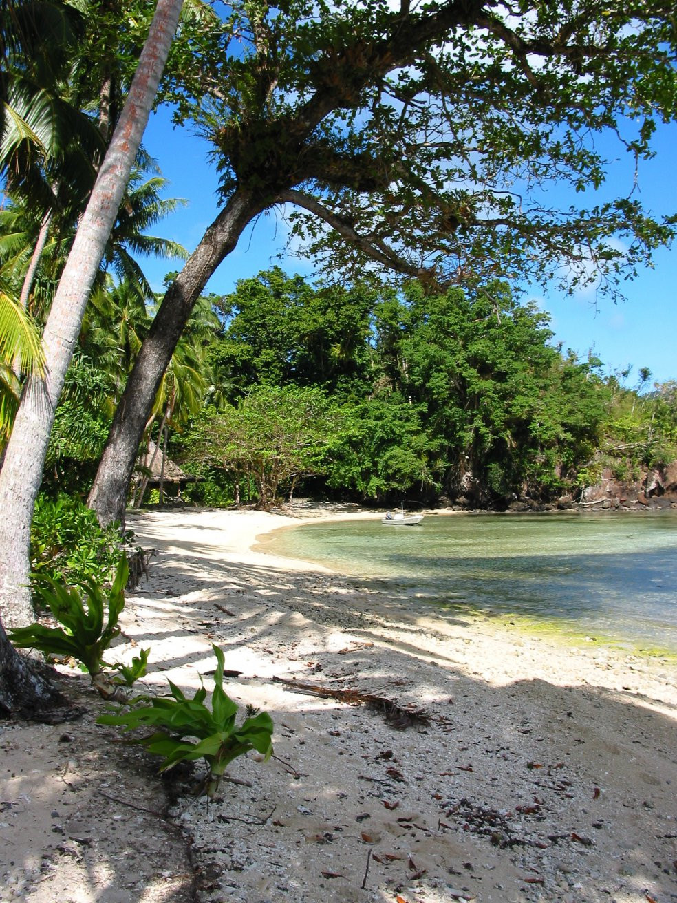 Камеа остров, Вануа Леву группа островов, Фиджи, фото № 49255 – фотографии Фиджи