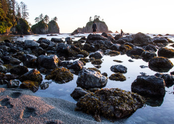 Олимпик Национальный Парк. Фото 6 – фотографии США