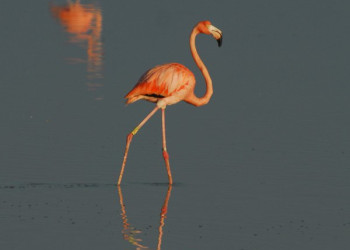 Мерида, Мексика, фото № 43735 – фотографии Мексики