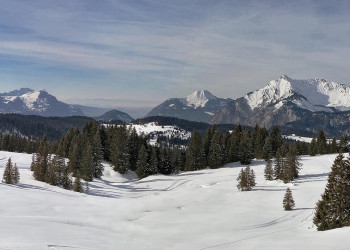 Природа в Ле-Же, Франция. Фото11 – фотографии Франции