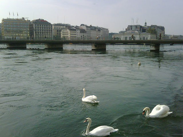 Женева, Женевское озеро, Швейцария, фото № 67545 – фотографии Швейцарии
