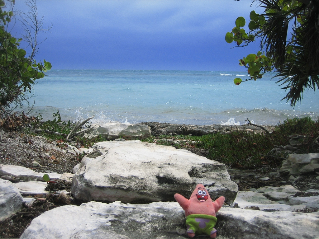 Берег острова Берри Айлендс, Багамские острова. Фото 3 – фотографии Багамских островов