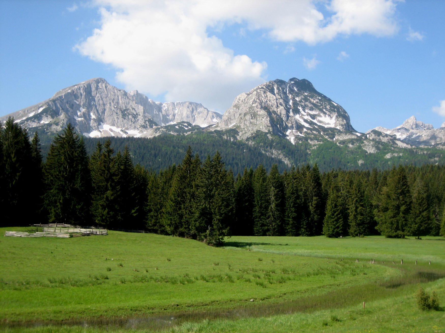 Природа в Дурмитор, Черногория. Фото 38 – фотографии Черногории