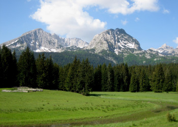 Природа в Дурмитор, Черногория. Фото 38 – фотографии Черногории