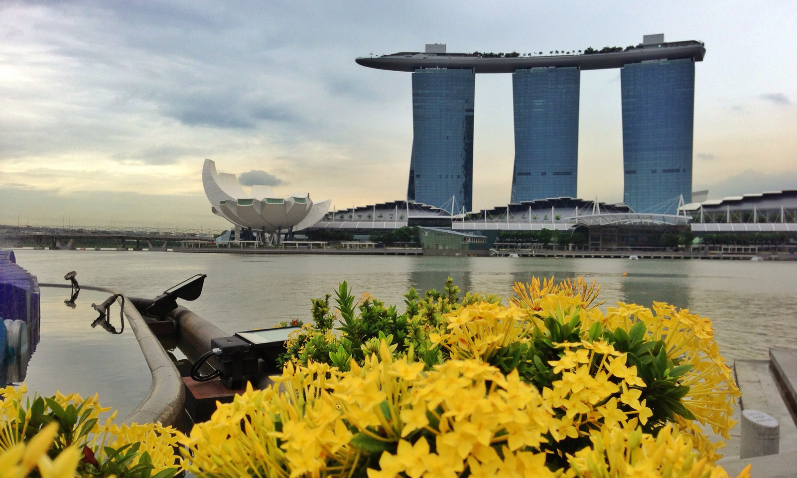 Город Сингапур. Фото 6 – фотографии Сингапура