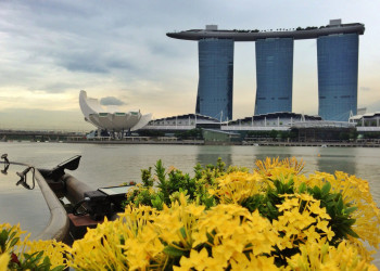 Город Сингапур. Фото 6 – фотографии Сингапура