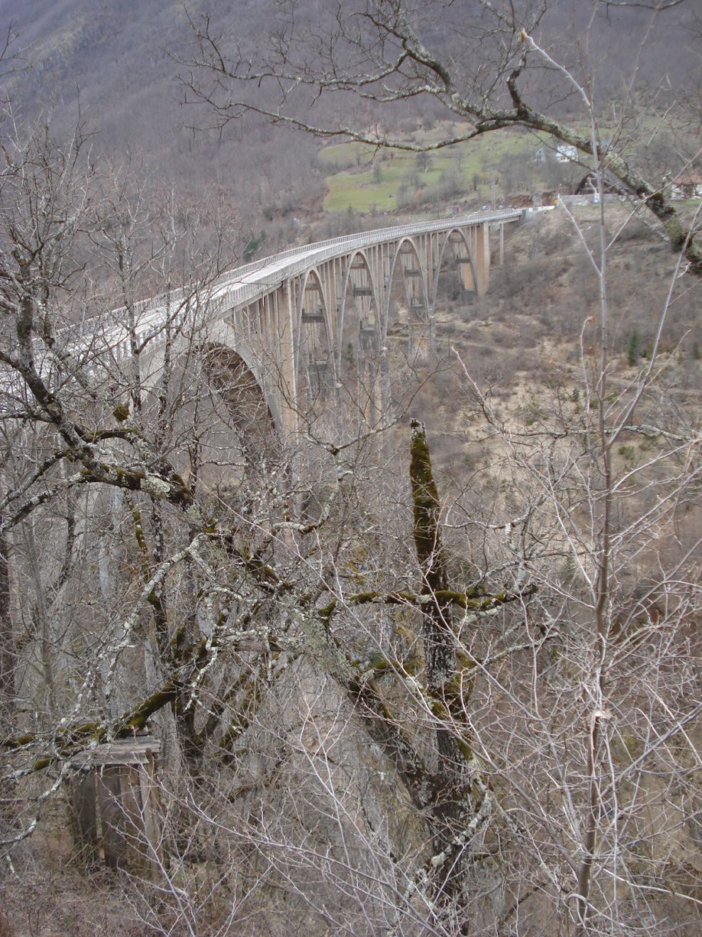 Тара Каньон – фотографии Черногории
