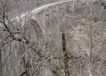 Тара Каньон – фотографии Черногории