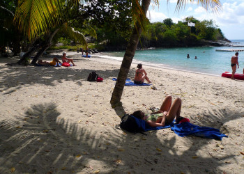 Сент-Люс (Sainte-Luce), Мартиника. Фото 3 – фотографии Мартиники