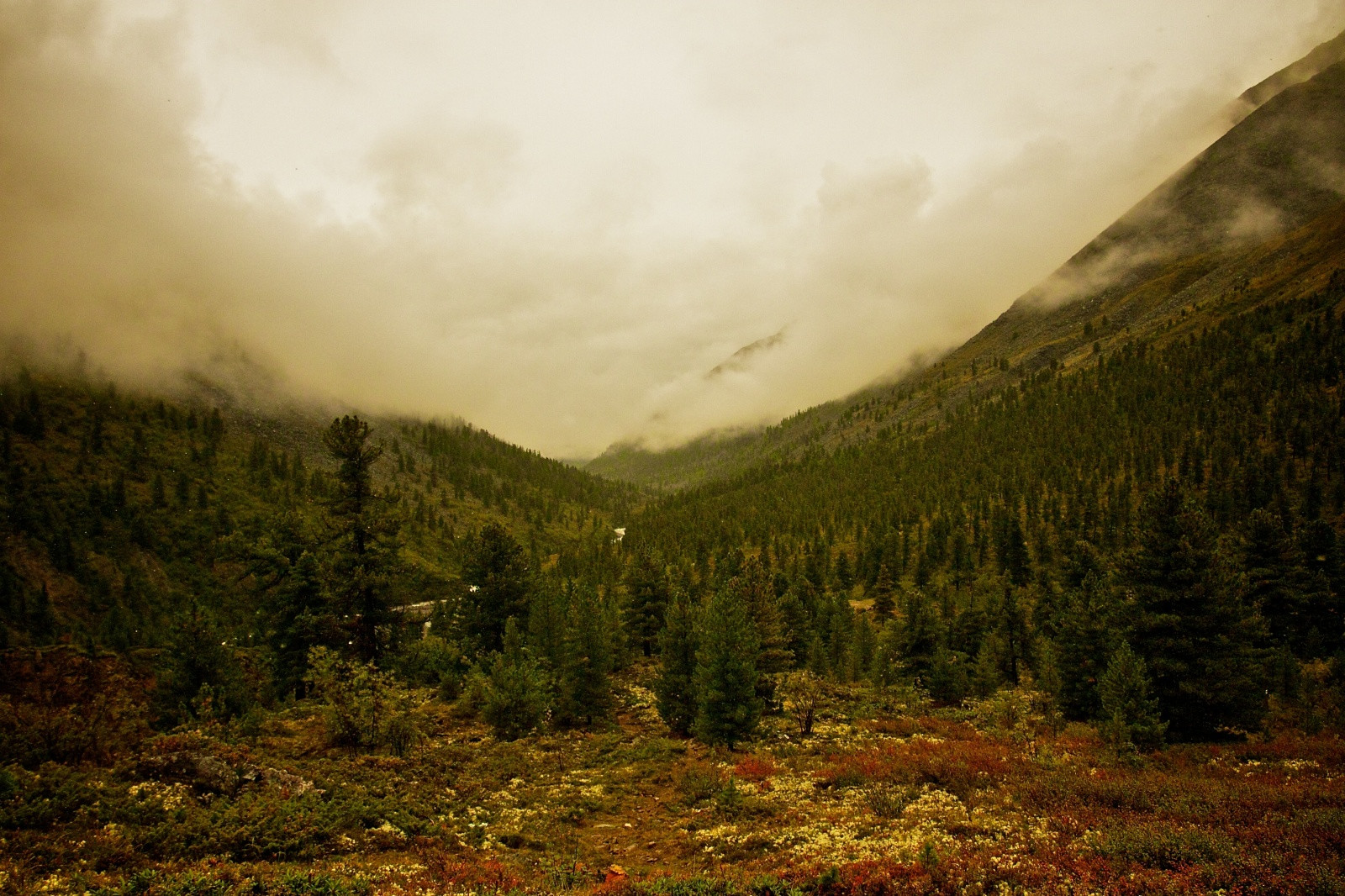 Бурятия, район Шумака. Фото 1 – фотографии России