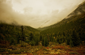 Бурятия, район Шумака. Фото 1 – фотографии России