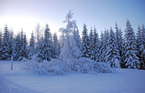 Уккохалла, Финляндия, фото № 75230 – фотографии Финляндии