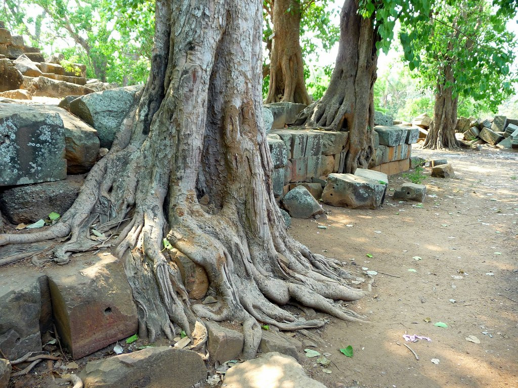 Ват Эк Пном (Wat Ek Phnom). Фото 13 – фотографии Камбоджи