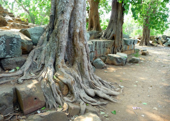 Ват Эк Пном (Wat Ek Phnom). Фото 13 – фотографии Камбоджи