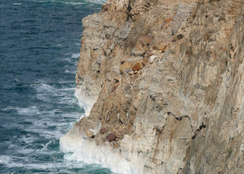 Мёртвое море в Иордании, Иордания, фото № 37026 – фотографии Иордании