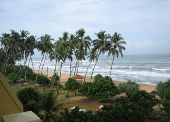 Ваддува, Шри-Ланка, фото № 50769 – фотографии Шри-Ланки