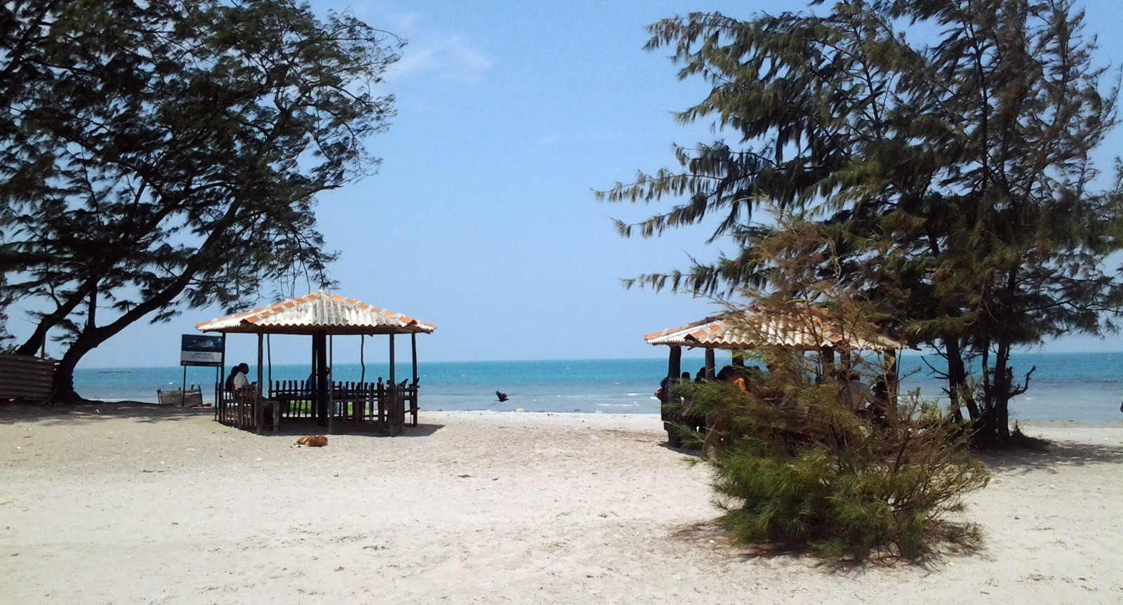 Пляж недалеко от Джафны – фотографии Шри-Ланки