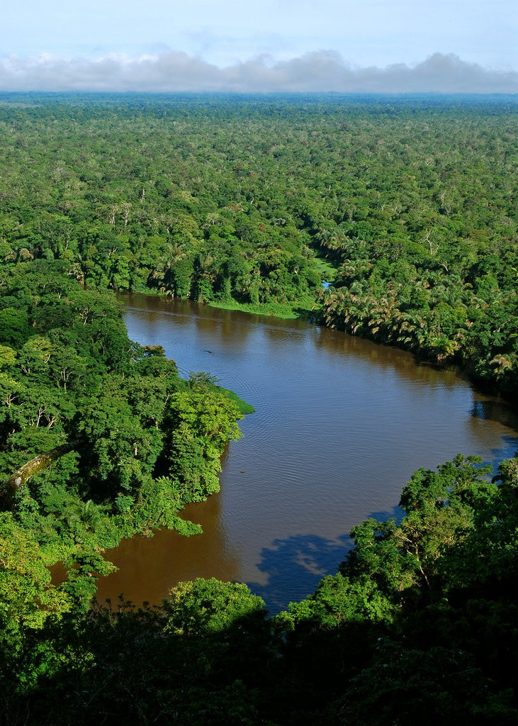 Тортугеро Национальный парк, Лимон провинция, Коста-Рика, фото № 40357 – фотографии Коста-Рики