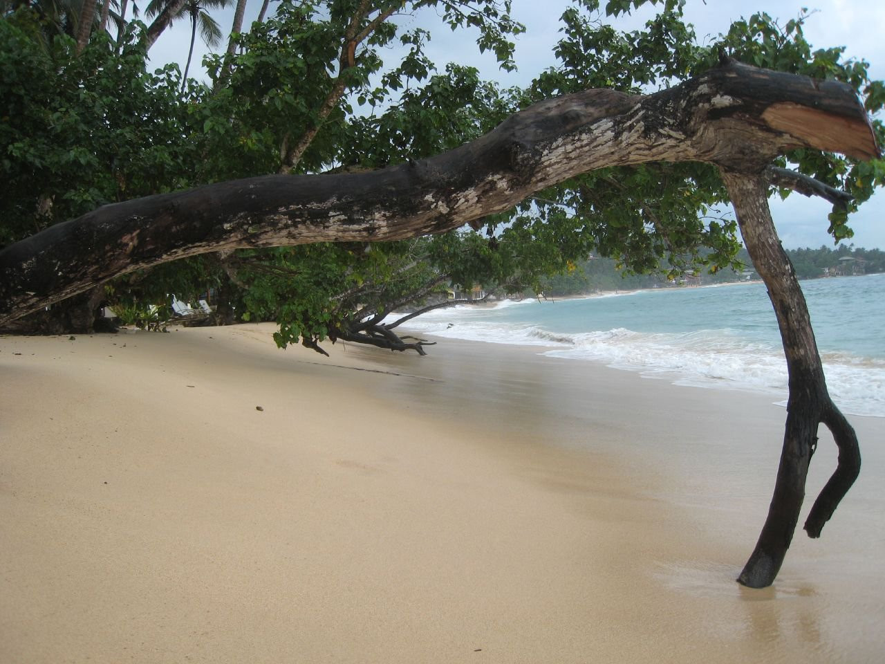 Галле, Шри-Ланка, фото № 50941 – фотографии Шри-Ланки