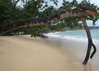 Галле, Шри-Ланка, фото № 50941 – фотографии Шри-Ланки