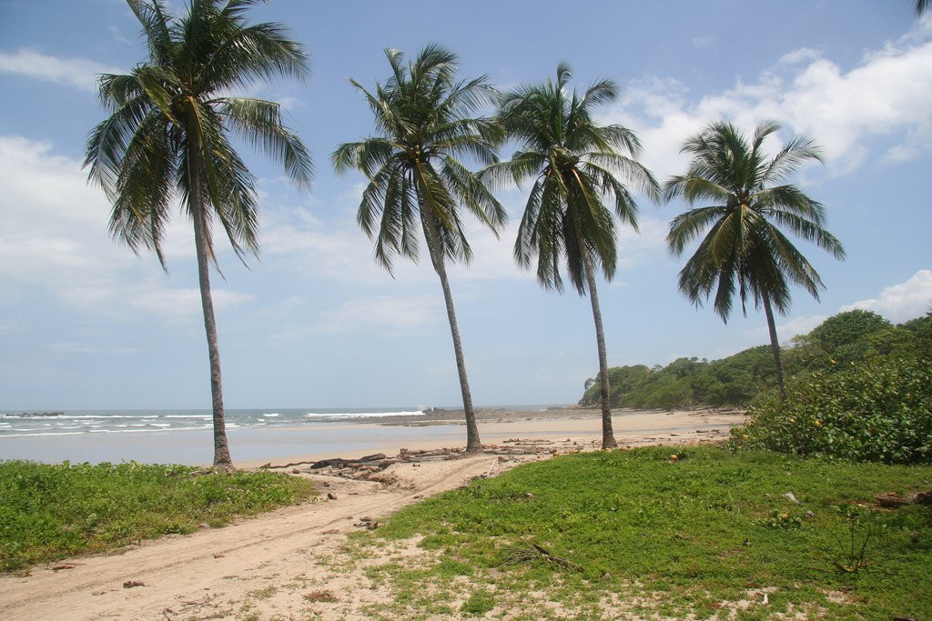 Плайя Джуионес, Гуанакасте провинция, Коста-Рика, фото № 39489 – фотографии Коста-Рики