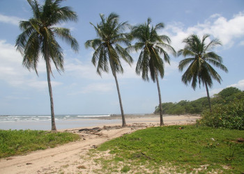 Плайя Джуионес, Гуанакасте провинция, Коста-Рика, фото № 39489 – фотографии Коста-Рики