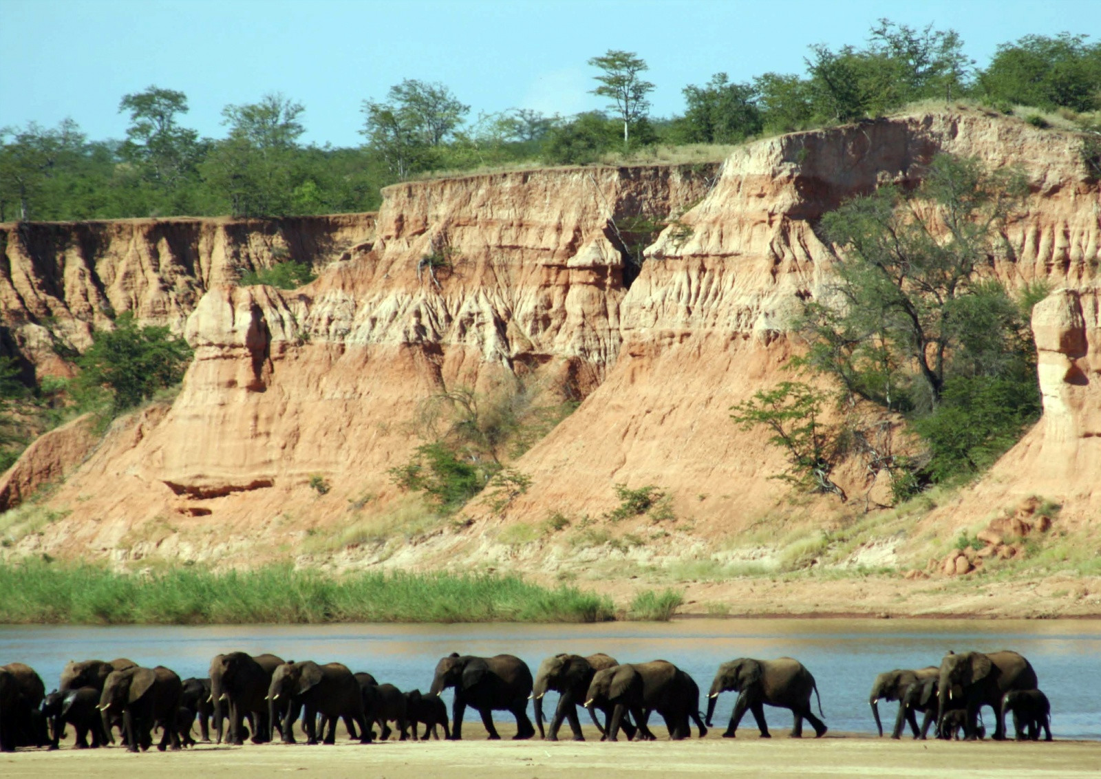Национальный парк Гонарежу (Gonarezhou National Park) в Зимбабве – фотографии Зимбабве