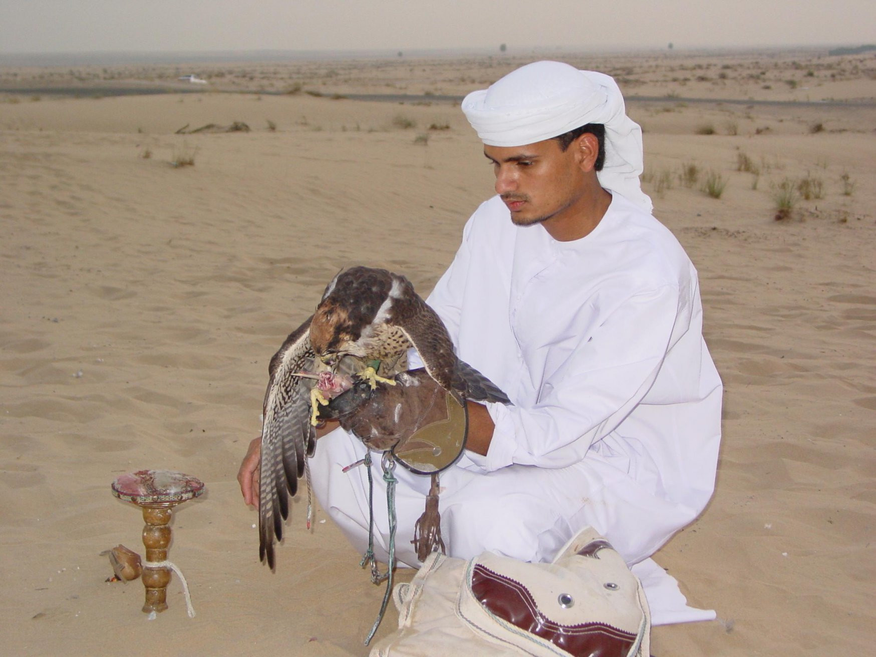 ОАЭ, фото № 1598 – фотографии ОАЭ