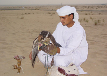 ОАЭ, фото № 1598 – фотографии ОАЭ